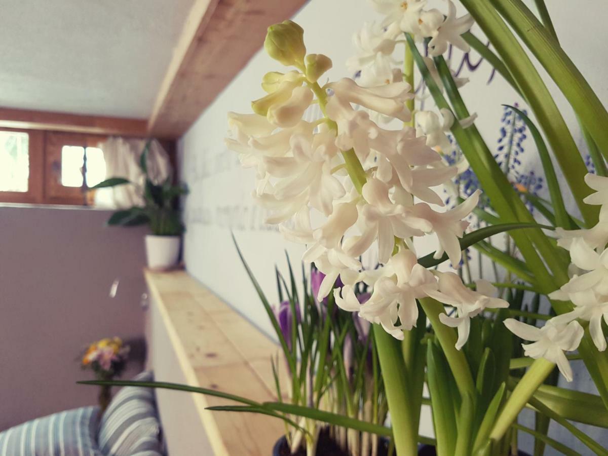 ラ・サル Grange Epiney Bed E Breakfast Bed & Breakfast エクステリア 写真