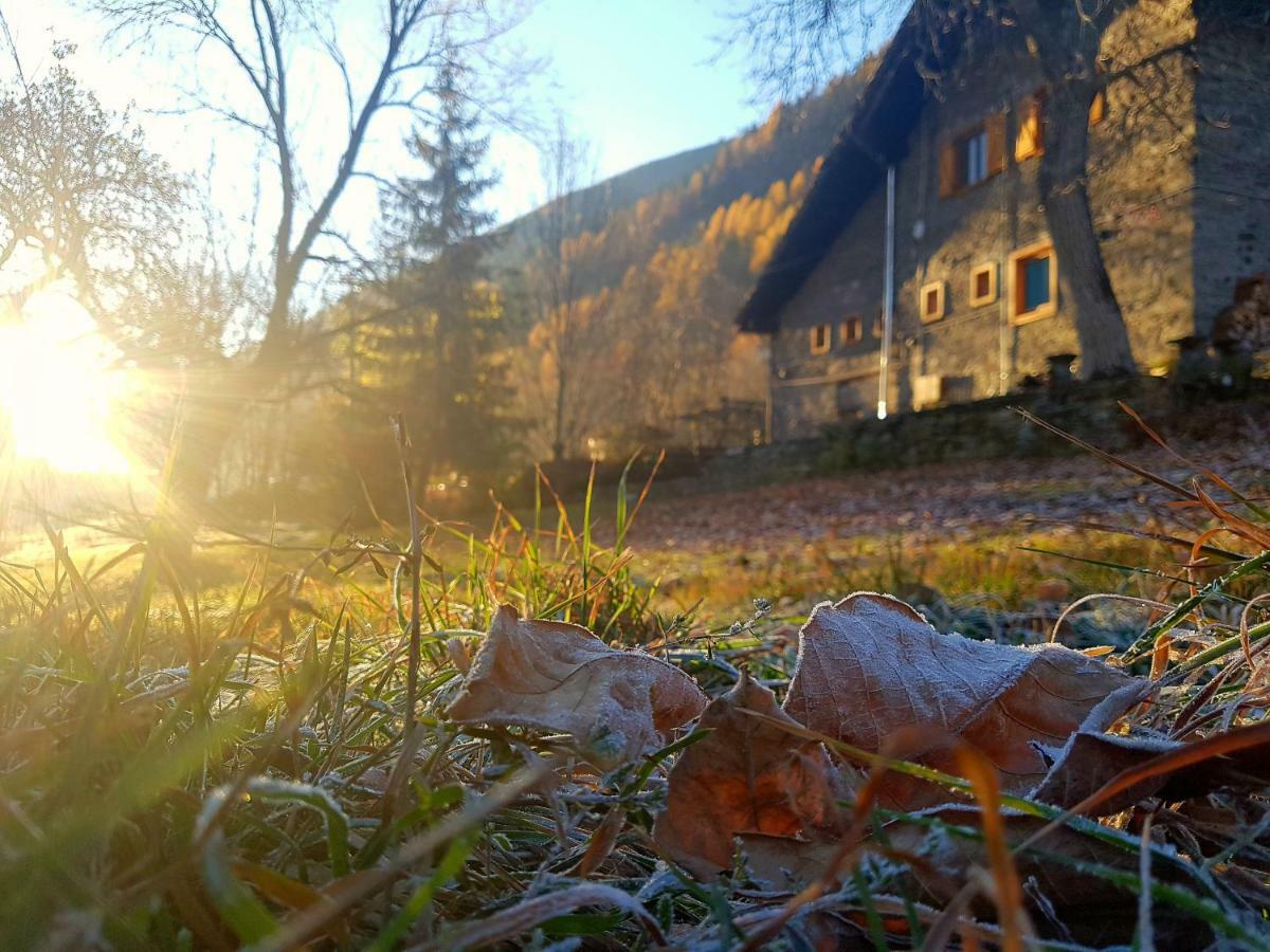 ラ・サル Grange Epiney Bed E Breakfast Bed & Breakfast エクステリア 写真