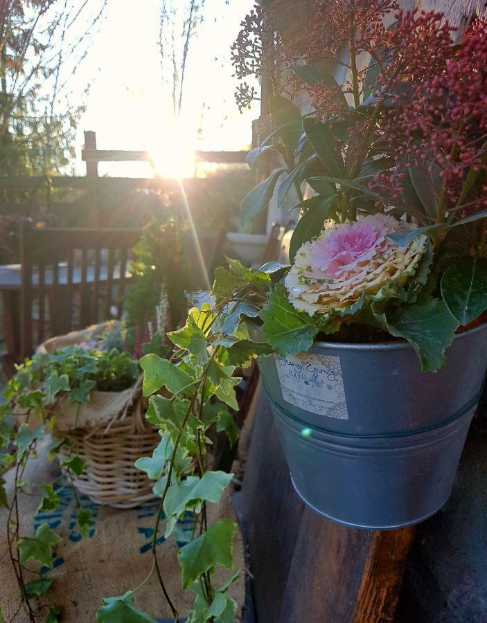 ラ・サル Grange Epiney Bed E Breakfast Bed & Breakfast エクステリア 写真